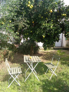 Orange tree apartment